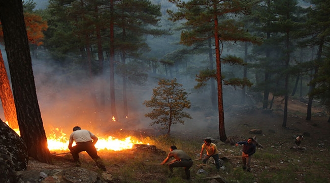 Yahyalı'da Orman Yangını Devam Ediyor