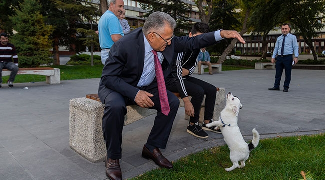 Başkan Büyükkılıç, sokak hayvanları ile özenle ilgileniyor