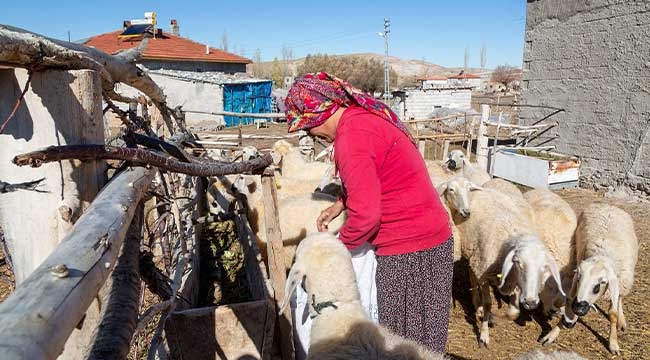 Kayseri'de 3 Bin 200 Adet Küçükbaş Hayvan Dağıtımı Gerçekleşecek