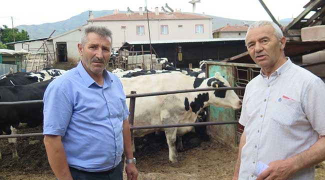 Sarıca Köyünde Rol Model Bir Çiftlik Ve Hayvancılık