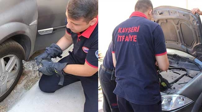 Kayseri'de itfaiye ekipleri araç motoruna giren kediyi kurtardı 