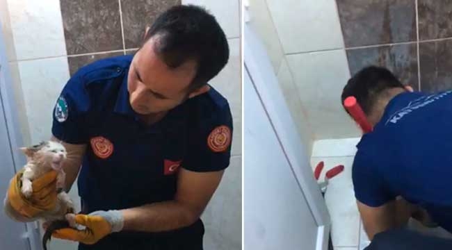 Büyükşehir İtfaiyesi, Tuvalet Giderine Sıkışan Minik Kediyi Kurtardı