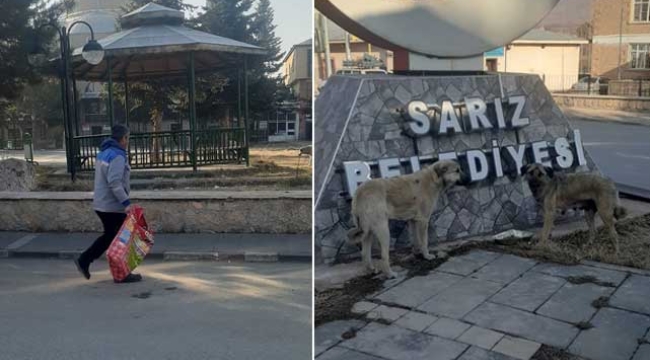 Sarız Belediyesi, Sokak Hayvanları İçin Seferber Oldu