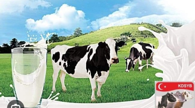 Et ve Süt Ürünlerinde Markalaşan Yerli ve Milli Değerlerimize Sahip Çıkalım 