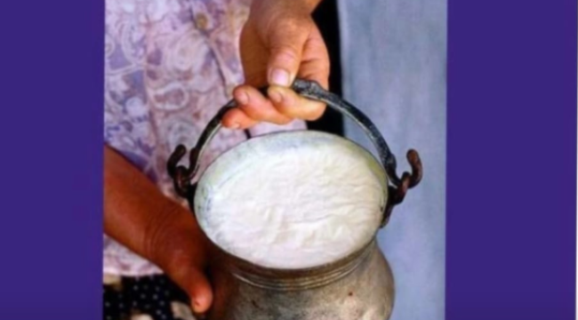 Yoğurt, Unesco Listelerine Girmeye Hazırlanıyor